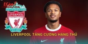 Liverpool Tăng Cường Hàng Thủ: Chiến Lược Mới Trên Thị Trường Tylekeonhacai