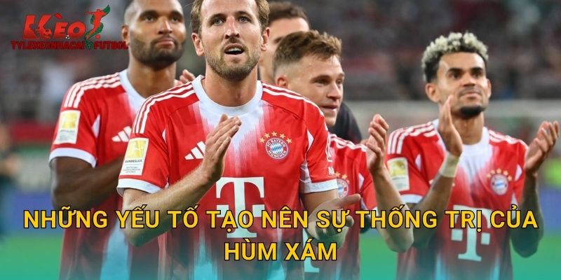 Những yếu tố tạo nên sự thống trị của Hùm Xám