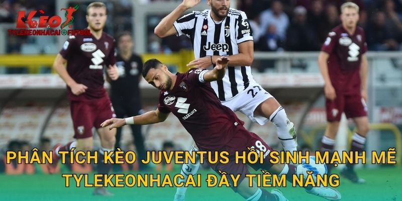 Phân tích kèo Juventus hồi sinh mạnh mẽ tylekeonhacai đầy tiềm năng